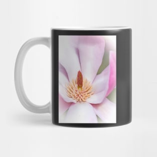 Close-up of a Magnolia Flower Mug